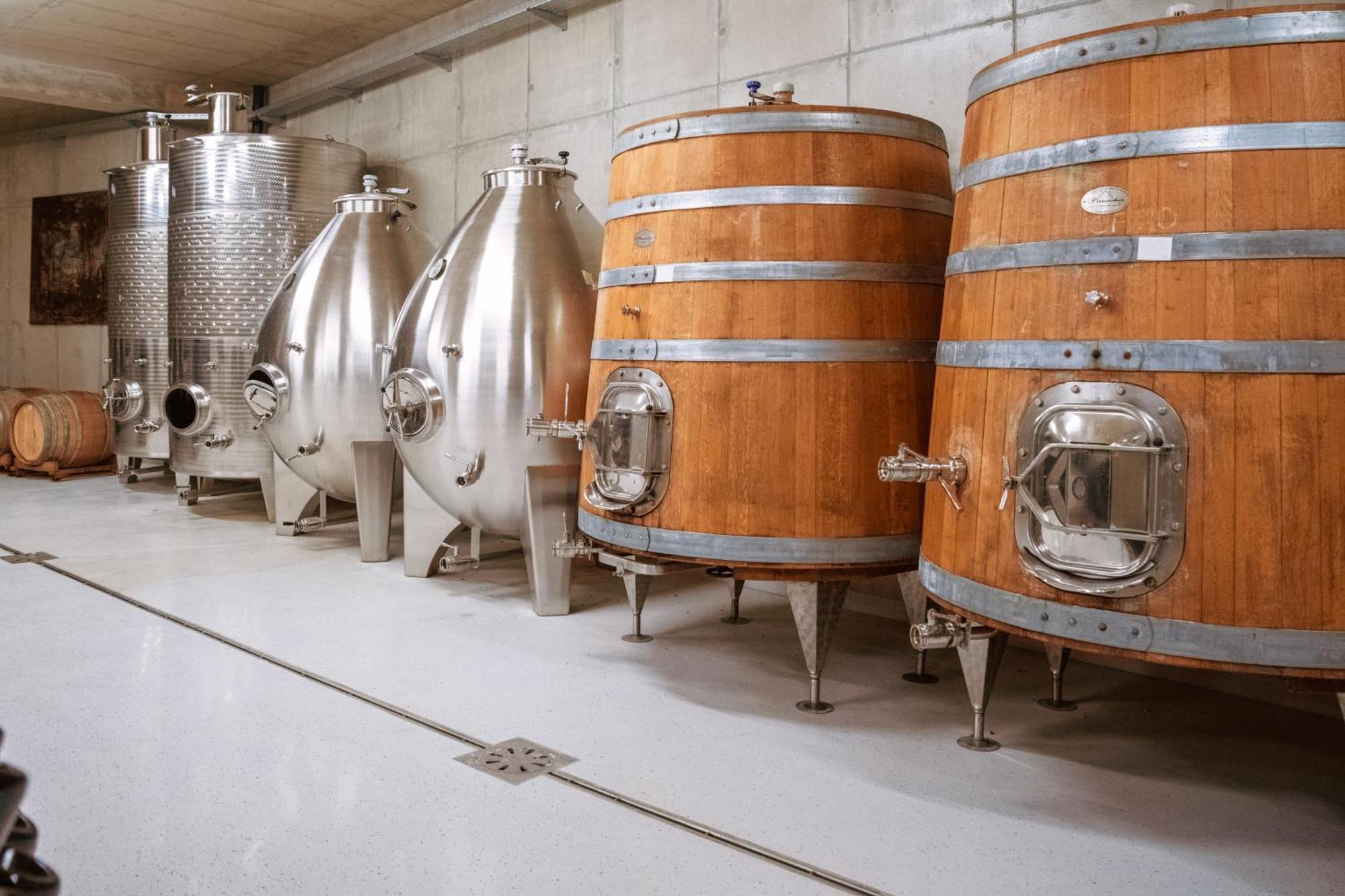 Bed and Breakfast Posestvo Scurek Wine Dobrovo Exterior foto